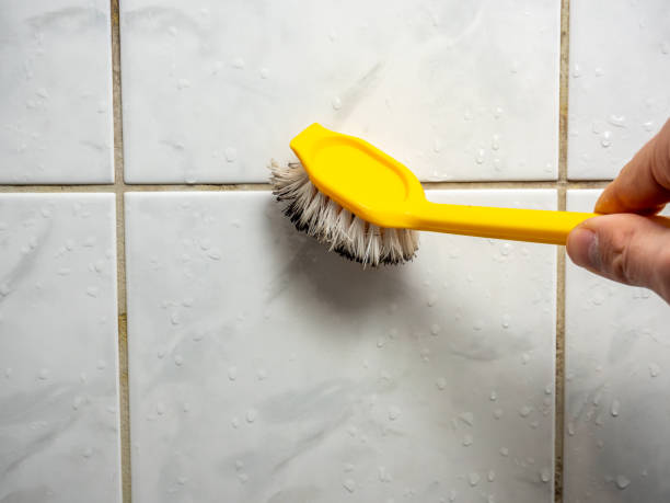 Best Bathroom Mold Remediation in Port Clinton, OH